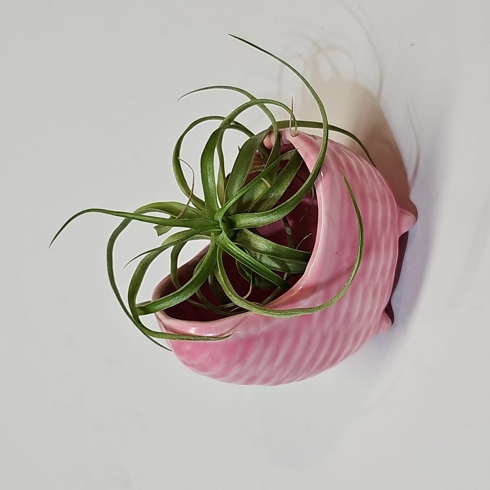 Ceramic Miniature Baby Bassinet Cradle Planter - Pink Woven Texture, Ceramic
